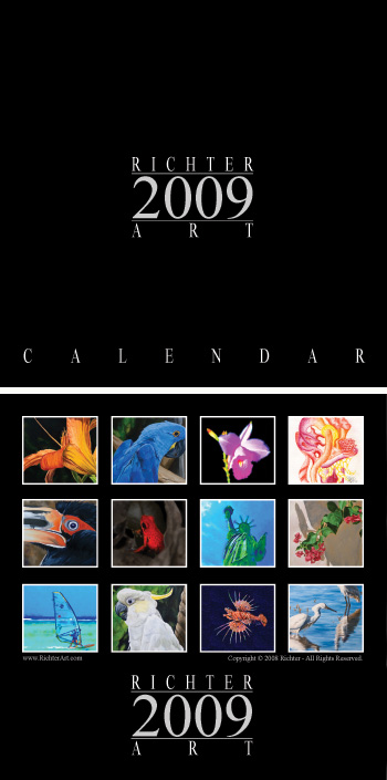 Richter Art Calendar 2009 cover