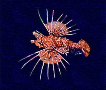 Fijian Spotfin Lionfish copyight Jake Richter